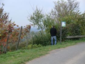 Weinprobe beim Brücke-Ohl 041.jpg