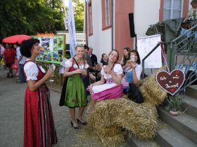 Bayrisches Sommerfest 2012 095.jpg