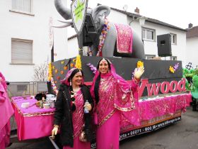 Bollywood 2013 017.jpg