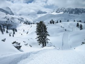 Bilder Flachau 2013 063.jpg